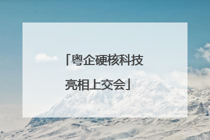粤企硬核科技亮相上交会