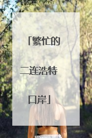 繁忙的二连浩特口岸