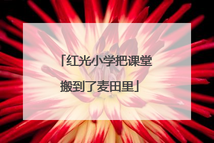 红光小学把课堂搬到了麦田里