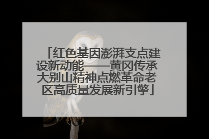 红色基因澎湃支点建设新动能——黄冈传承大别山精神点燃革命老区高质量发展新引擎
