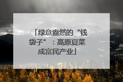 绿意盎然的“钱袋子”：高原夏菜成富民产业