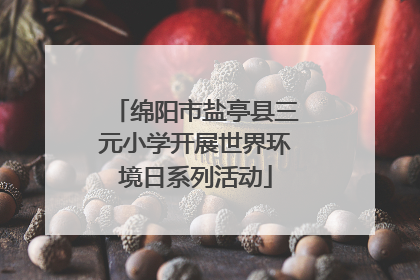 绵阳市盐亭县三元小学开展世界环境日系列活动
