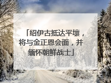 绍伊古抵达平壤，将与金正恩会面，并缅怀朝鲜战士