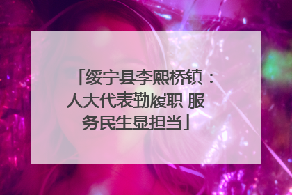 绥宁县李熙桥镇：人大代表勤履职 服务民生显担当