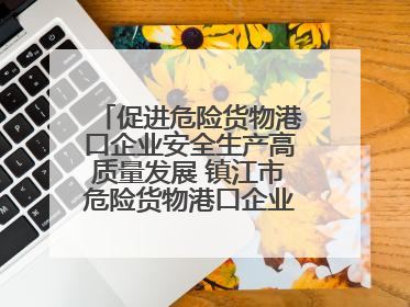 促进危险货物港口企业安全生产高质量发展 镇江市危险货物港口企业安全联盟成立