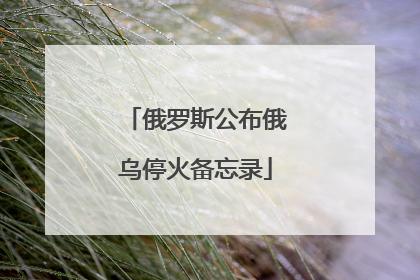俄罗斯公布俄乌停火备忘录