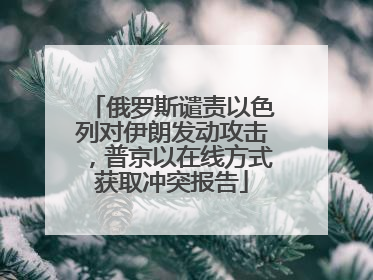 俄罗斯谴责以色列对伊朗发动攻击，普京以在线方式获取冲突报告