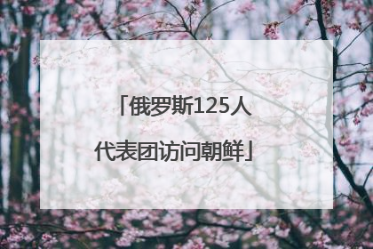俄罗斯125人代表团访问朝鲜
