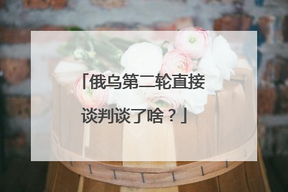 俄乌第二轮直接谈判谈了啥？