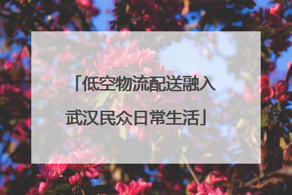 低空物流配送融入武汉民众日常生活