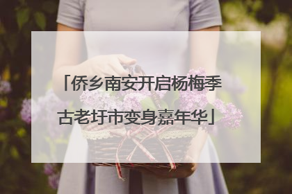 侨乡南安开启杨梅季 古老圩市变身嘉年华