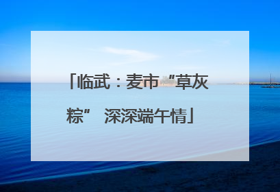 临武：麦市“草灰粽” 深深端午情