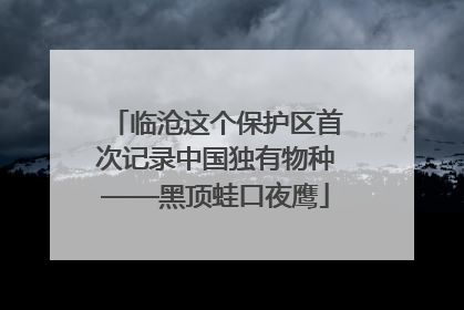 临沧这个保护区首次记录中国独有物种——黑顶蛙口夜鹰