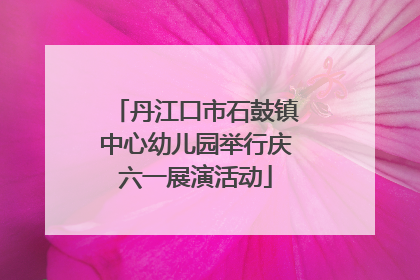 丹江口市石鼓镇中心幼儿园举行庆六一展演活动