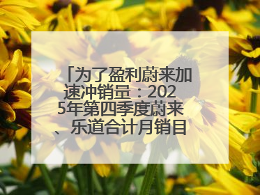 为了盈利蔚来加速冲销量：2025年第四季度蔚来、乐道合计月销目标达5万辆