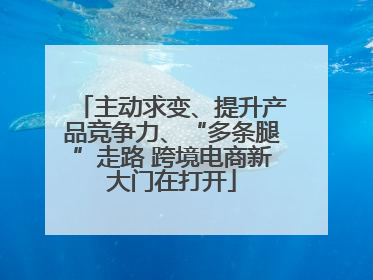 主动求变、提升产品竞争力、“多条腿”走路 跨境电商新大门在打开