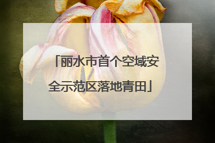 丽水市首个空域安全示范区落地青田