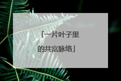 一片叶子里的共富脉络