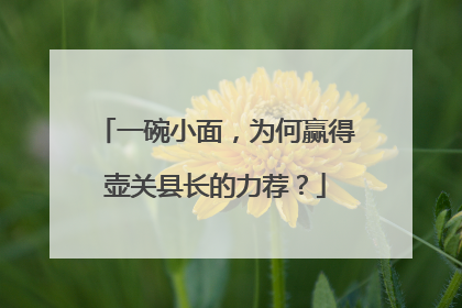 一碗小面，为何赢得壶关县长的力荐？