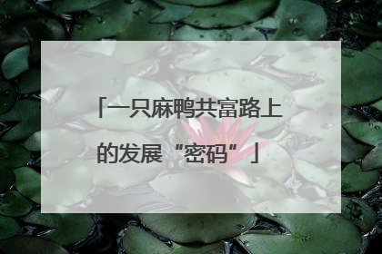 一只麻鸭共富路上的发展“密码”