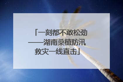 一刻都不敢松劲——湖南桑植防汛救灾一线直击