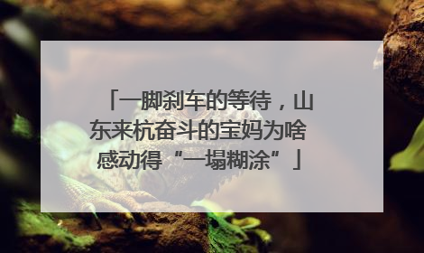 一脚刹车的等待，山东来杭奋斗的宝妈为啥感动得“一塌糊涂”