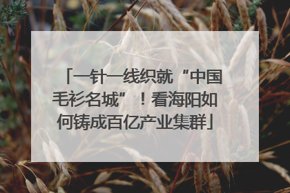 一针一线织就“中国毛衫名城”！看海阳如何铸成百亿产业集群