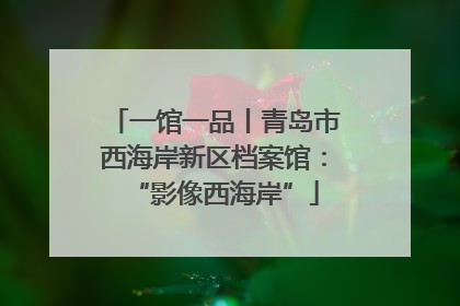 一馆一品丨青岛市西海岸新区档案馆：“影像西海岸”