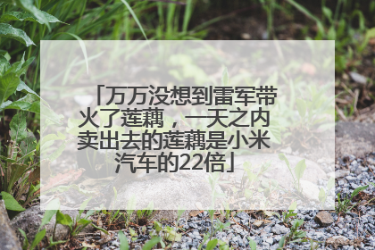 万万没想到雷军带火了莲藕，一天之内卖出去的莲藕是小米汽车的22倍