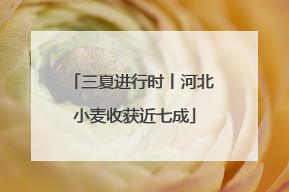 三夏进行时丨河北小麦收获近七成