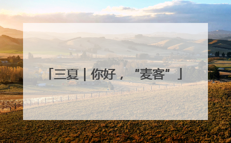 三夏｜你好，“麦客”