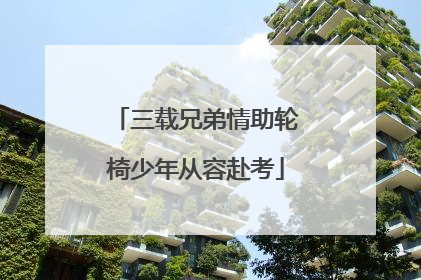三载兄弟情助轮椅少年从容赴考