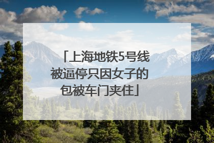 上海地铁5号线被逼停只因女子的包被车门夹住