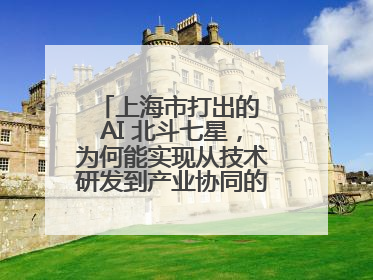 上海市打出的 AI 北斗七星，为何能实现从技术研发到产业协同的闭环生态