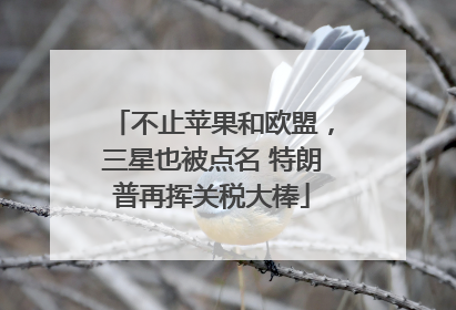 不止苹果和欧盟，三星也被点名 特朗普再挥关税大棒