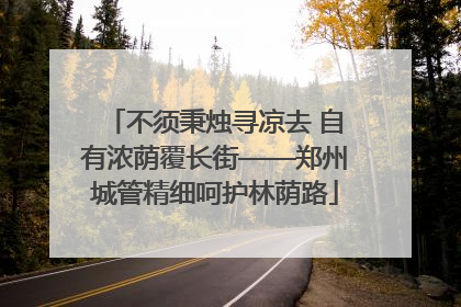 不须秉烛寻凉去 自有浓荫覆长街——郑州城管精细呵护林荫路