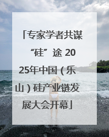 专家学者共谋“硅”途 2025年中国（乐山）硅产业链发展大会开幕