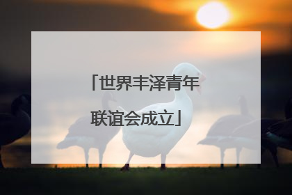 世界丰泽青年联谊会成立
