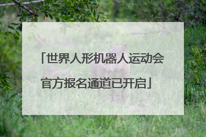 世界人形机器人运动会官方报名通道已开启