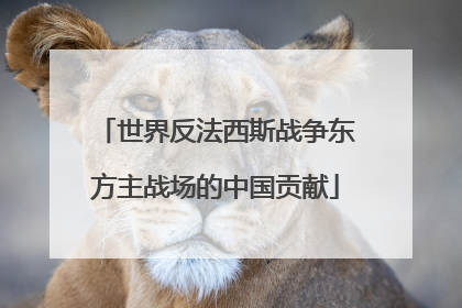世界反法西斯战争东方主战场的中国贡献