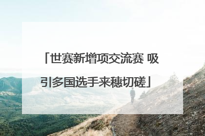 世赛新增项交流赛 吸引多国选手来穗切磋