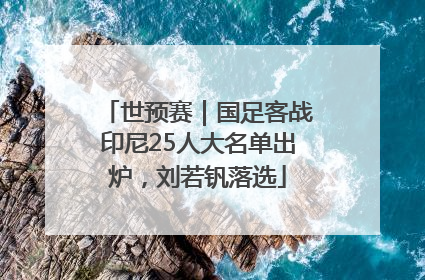 世预赛｜国足客战印尼25人大名单出炉，刘若钒落选