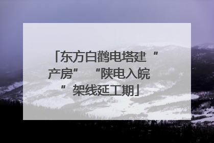 东方白鹳电塔建“产房” “陕电入皖”架线延工期