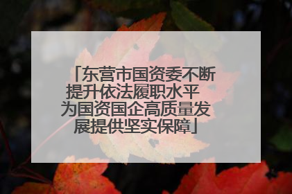 东营市国资委不断提升依法履职水平 为国资国企高质量发展提供坚实保障