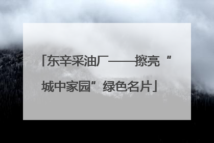 东辛采油厂——擦亮“城中家园”绿色名片