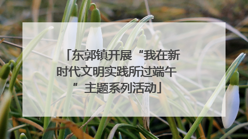 东郭镇开展“我在新时代文明实践所过端午”主题系列活动