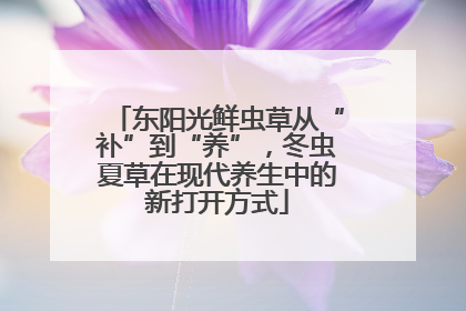 东阳光鲜虫草从“补”到“养”，冬虫夏草在现代养生中的新打开方式