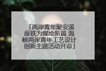 两岸青年聚安溪 藤铁为媒绘新篇 海峡两岸青年工艺设计创新主题活动开幕