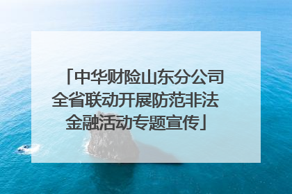 中华财险山东分公司全省联动开展防范非法金融活动专题宣传