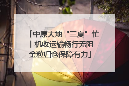 中原大地“三夏”忙丨机收运输畅行无阻 金粒归仓保障有力